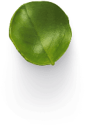 Hoja pequeña