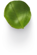 Hoja pequeña