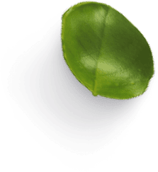 Hoja pequeña