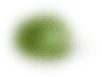 Hoja pequeña