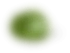 Hoja pequeña